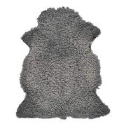 Gotlandilainen Lampaannahka | Kihara Lyhyt Villa | 90–100 cm